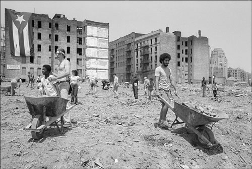 Charlotte_Street_Cleanup_Wheelbarrows